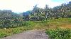 Agricultural Land for Sale in Naga, Cebu